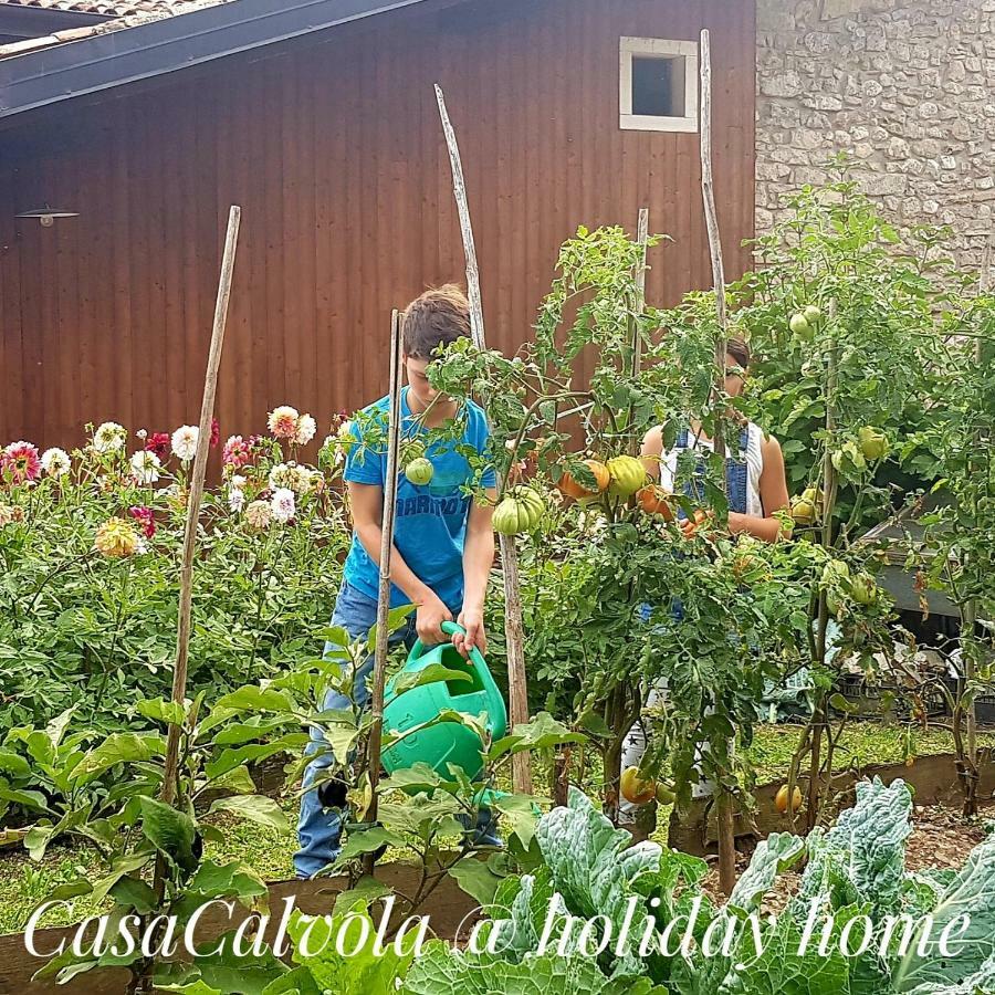 Casa Calvola Holiday Home Tenno Εξωτερικό φωτογραφία